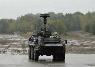 fuchs_mit_aufklger_peiler Landstreitkräfte